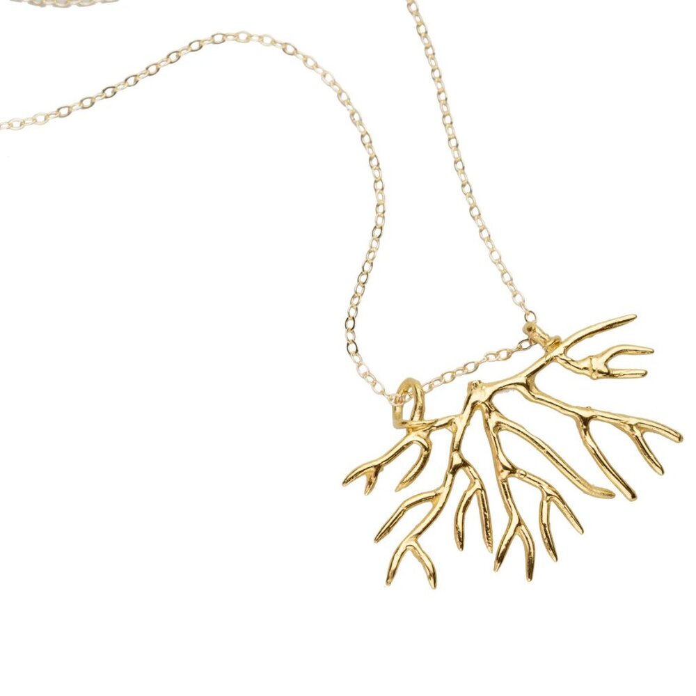Tuning Fork Bryozoan Necklace - Gold - Picture 9 of 14